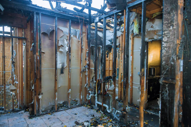 Professional Odor Removal technician working in Grant, MI